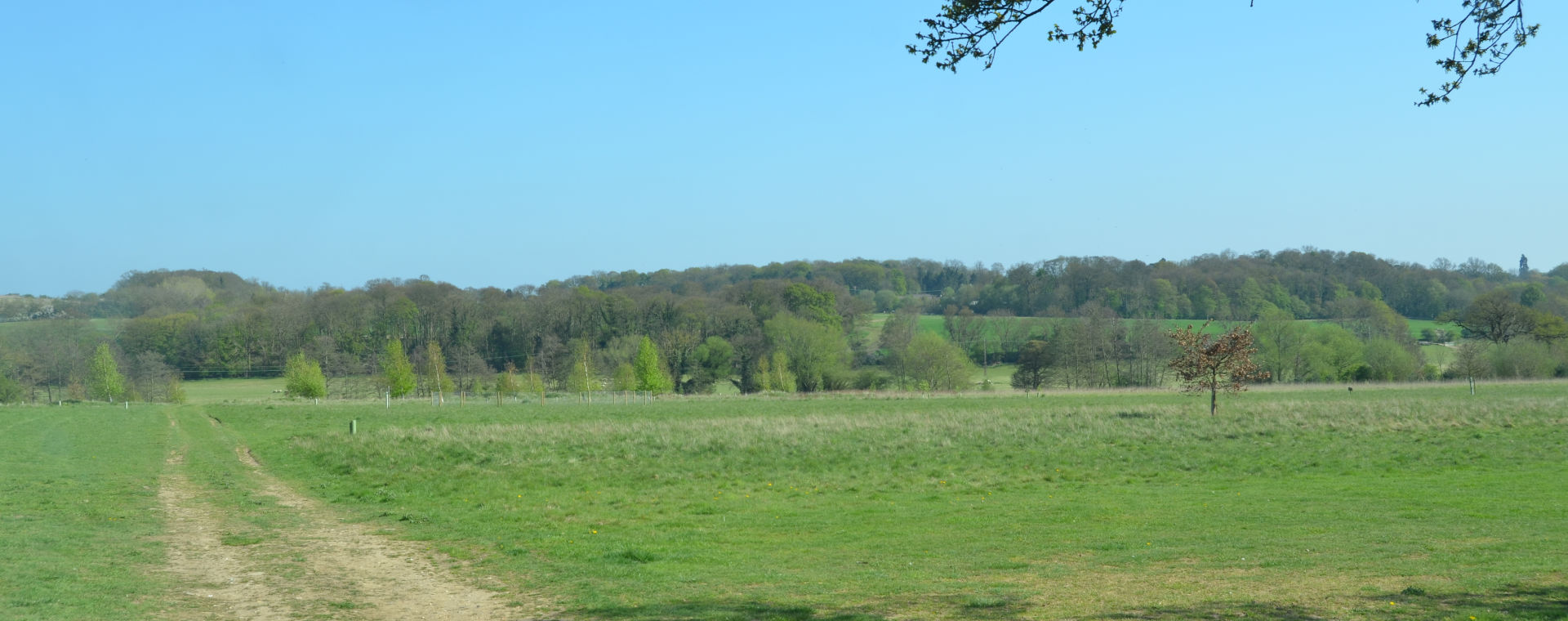 Rickneys Gun dog training ground in Hertford