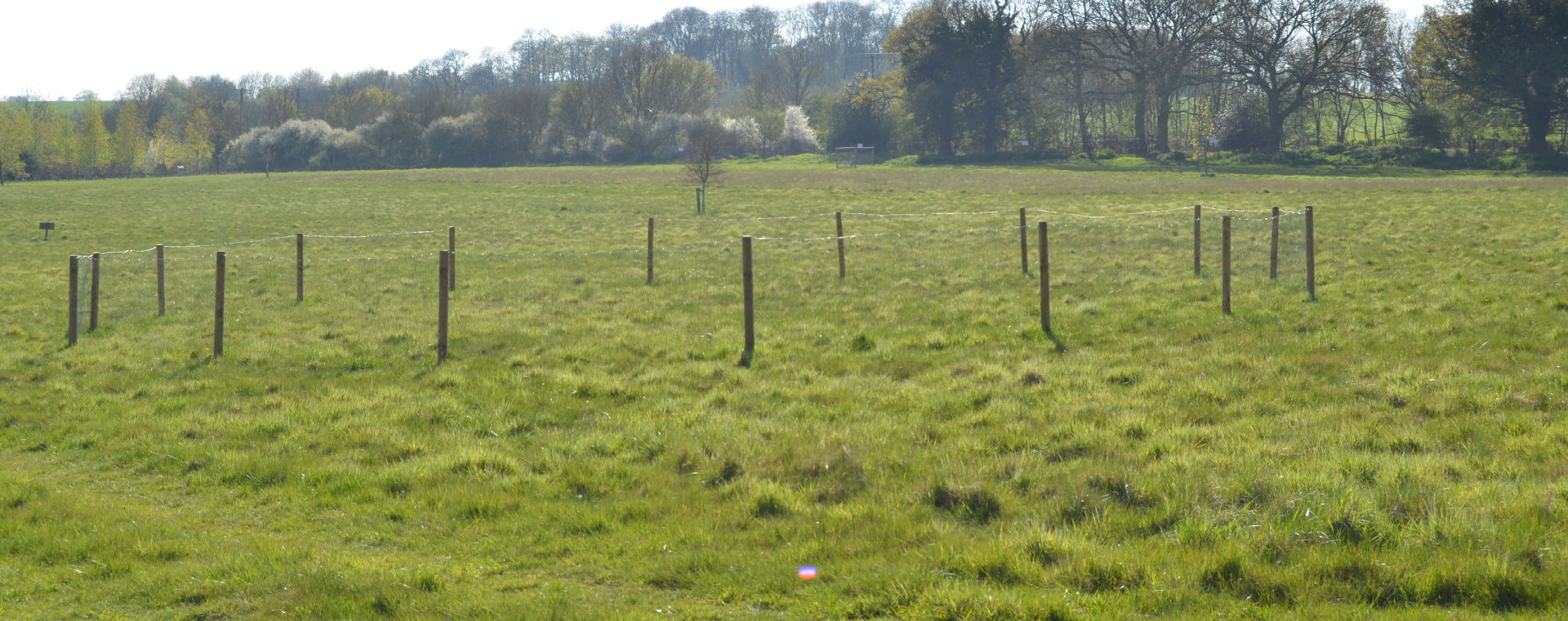 Circular dog jumps at Rickneys in Hertford