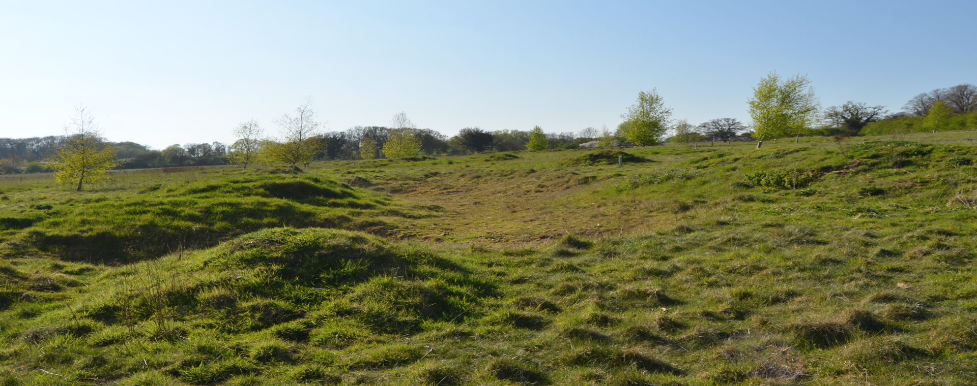 Rough terrain training for dogs and gundogs