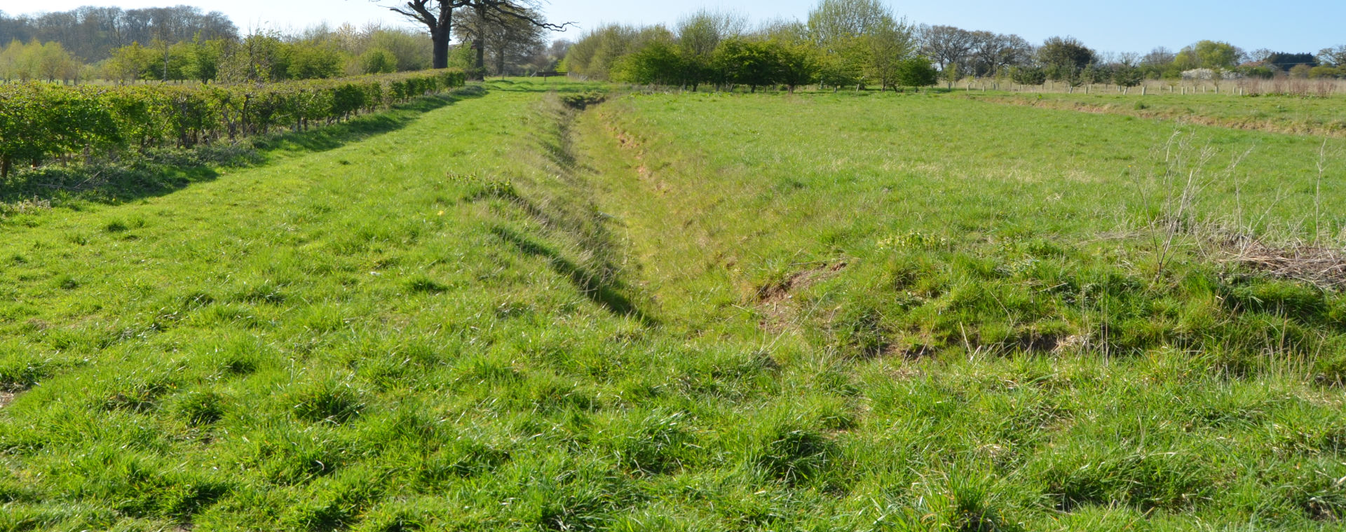 Ditches and Hedges for gundog training at Rickneys